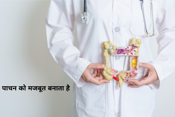 पाचन को मजबूत बनाता है
